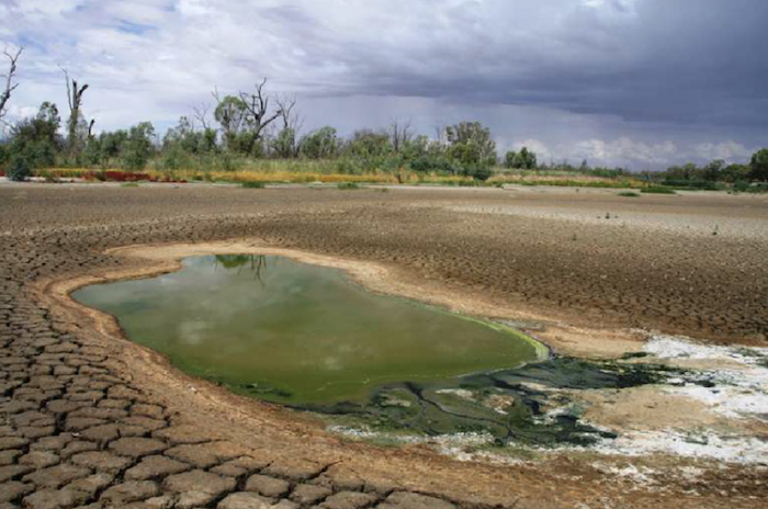 The image symbolizes the potential of innovative wastewater solutions in creating a sustainable and vibrant urban environment.