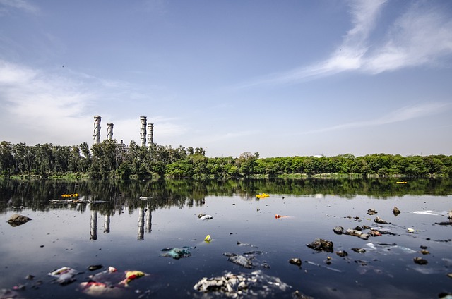 Illustration depicting the effects of sewage pollution on river ecosystems and aquatic life.